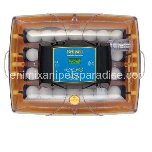 Maxi incubator large egg quadrants for 12 large eggs