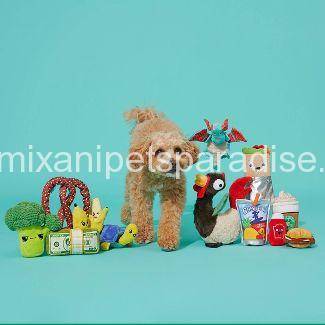 BARK Tiago Tortuga Tortoise Dog Toy 2 BARK Tiago Tortuga Tortoise Dog Toy - Image 2