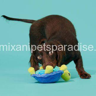 BARK Tiago Tortuga Tortoise Dog Toy 4 BARK Tiago Tortuga Tortoise Dog Toy - Image 4