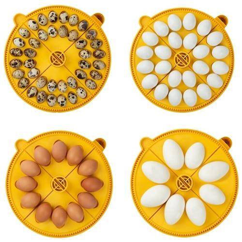 Brinsea Maxi 24 Advance fully automatic 24 egg incubator 2 parrot eggs for sale