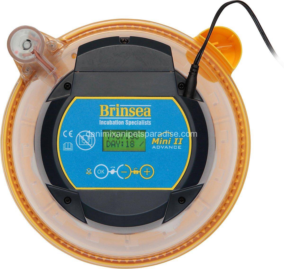 7 egg Brinsea Mini II Advance fully automatic incubator 3 Brinsea Mini II Advance fully digital 7 egg incubator Show Picture 1 Show Picture 2 Show Picture 3 View Larger Image Mini II Advance fully digital 7 egg incubator