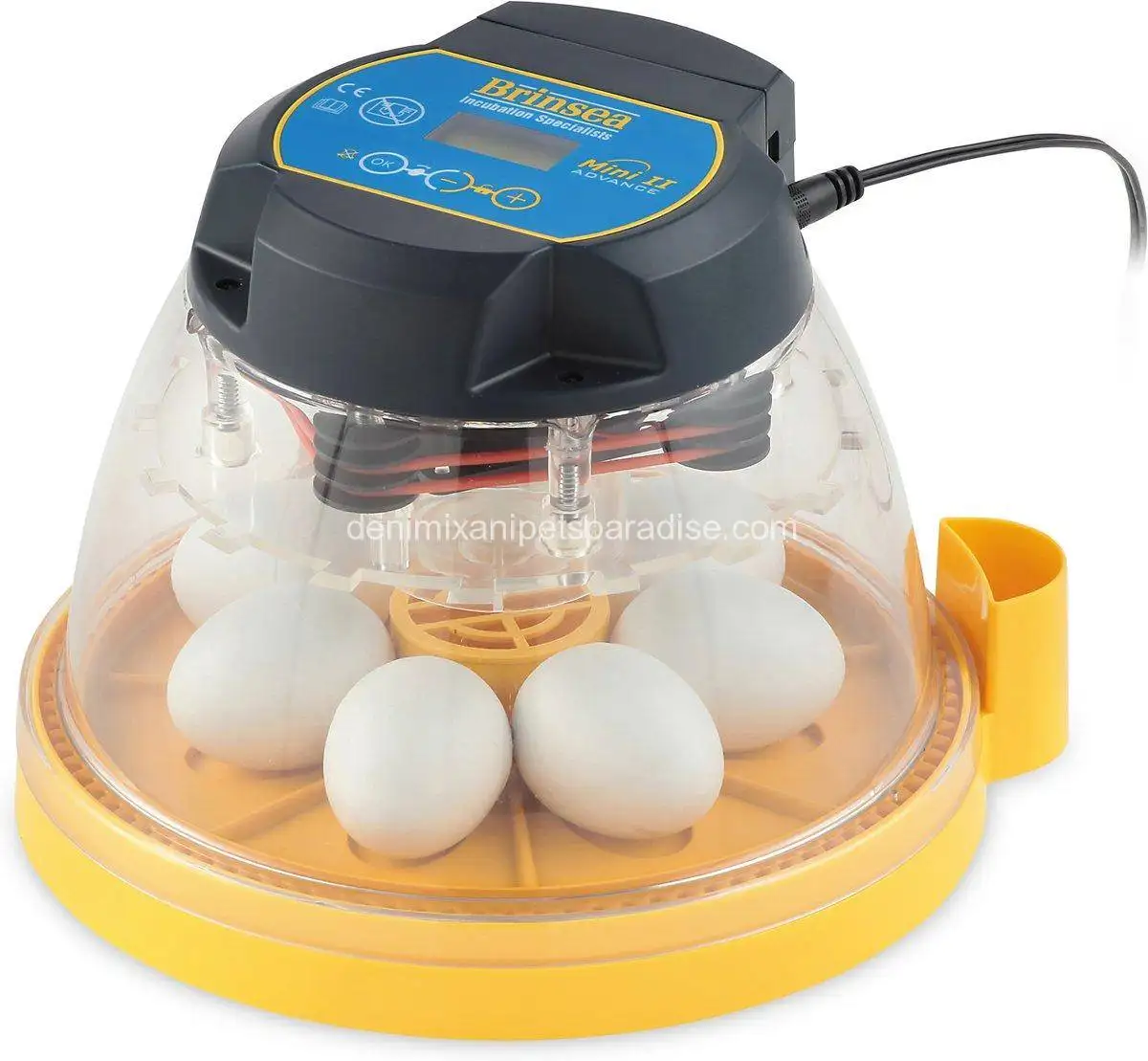 7 egg Brinsea Mini II Advance fully automatic incubator 1 Brinsea Mini II Advance fully digital 7 egg incubator Show Picture 1 Show Picture 2 Show Picture 3 View Larger Image Mini II Advance fully digital 7 egg incubator