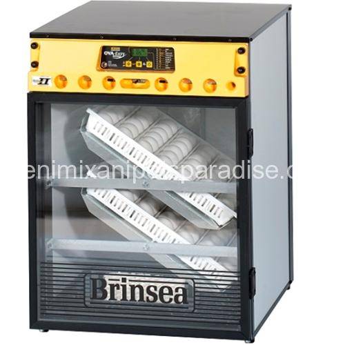 Ova-Easy 100 Advance Series II Cabinet Incubator..