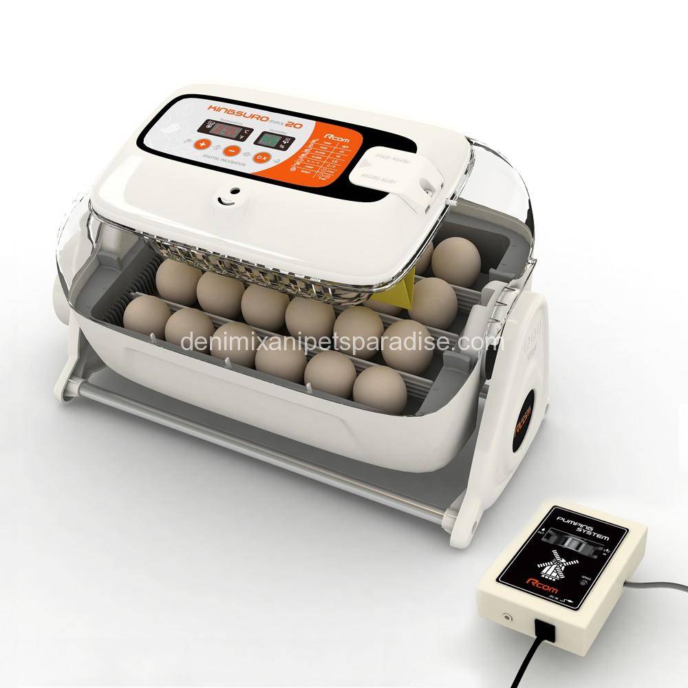 R-Com RCOM King Suro 20 Fully Automatic Digital Egg Incubator