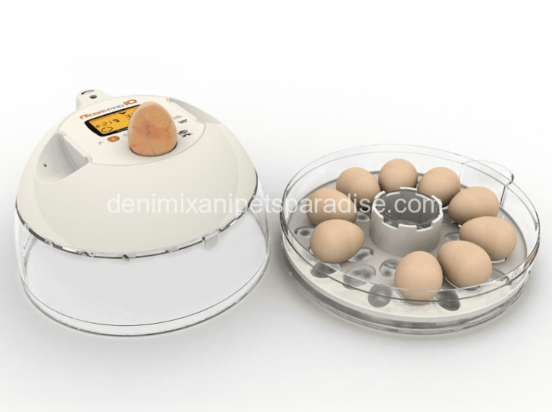 Rcom 10 PRO (Automatic) Incubator- Built-in Candler 2 Rcom 10 PRO (Automatic) - Built-in Candler .