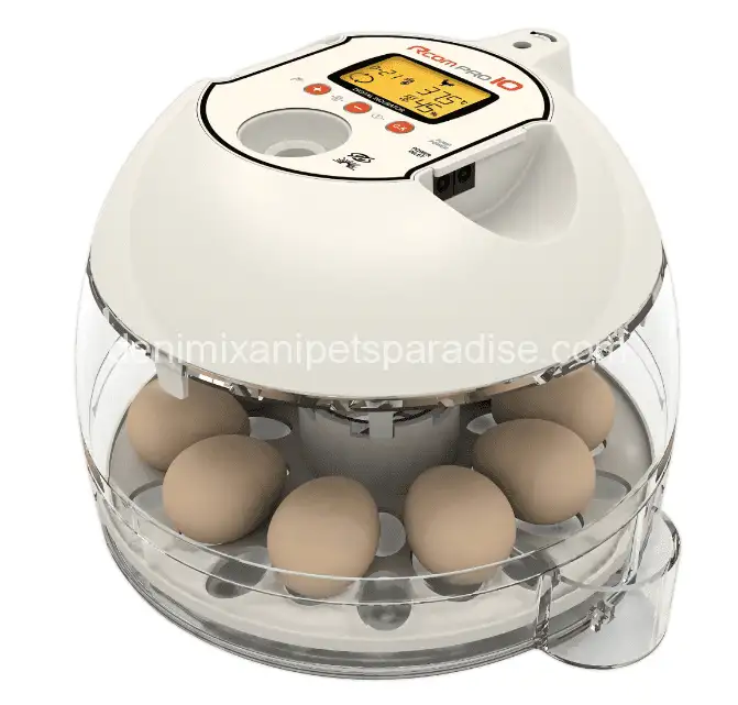 Rcom 10 PRO (Automatic) Incubator- Built-in Candler 1 Rcom 10 PRO (Automatic) - Built-in Candler .