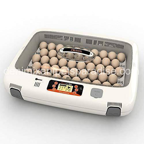 Maxi incubator large egg quadrants for 12 large eggs