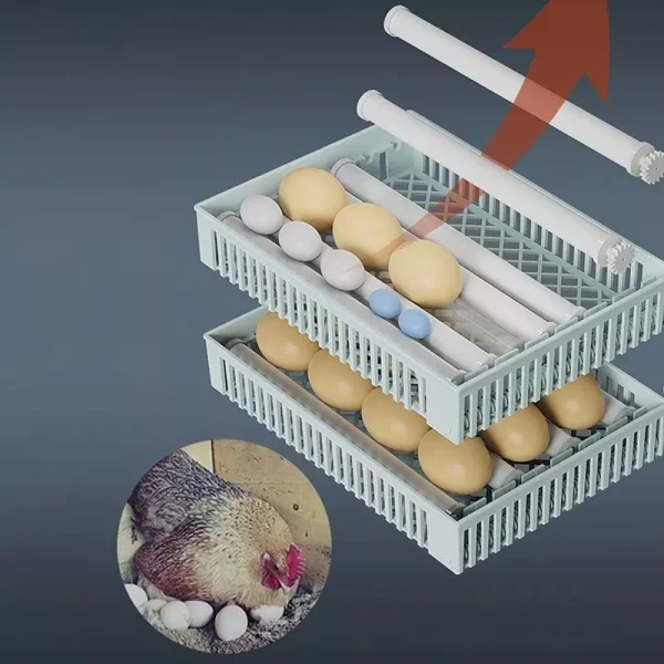 Automatic Digital 24 Eggs Incubator Hatcher with Temperature Control - Image 3