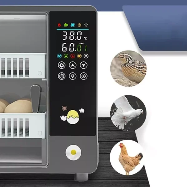 Automatic Digital Eggs Incubator 24 eggs3