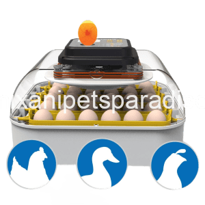 Denimix Anipets Paradise 9 Incubators