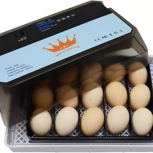 Mini 15 Eggs Incubators