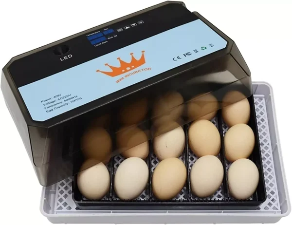 Mini 15 Eggs Incubators