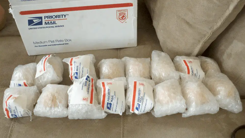Shipping and Refund Policy 2 image 11