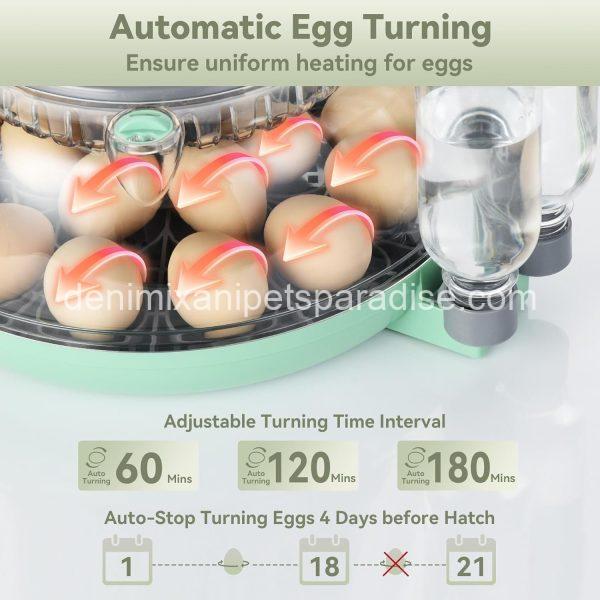 18 Egg Incubator with Automatic Egg Turning and Humidity Control - - Image 5