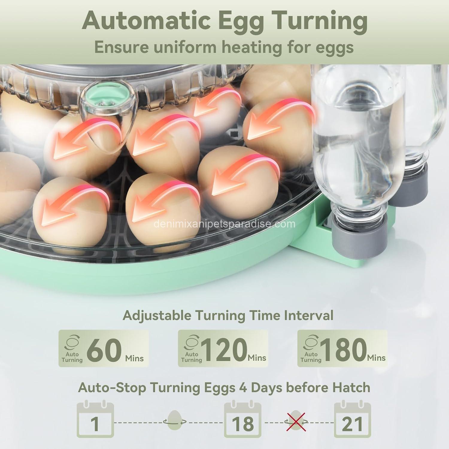 18 Egg Incubator with Automatic Egg Turning and Humidity Control - 5 18 Egg Incubator with Automatic Egg Turning and Humidity Control - - Image 5
