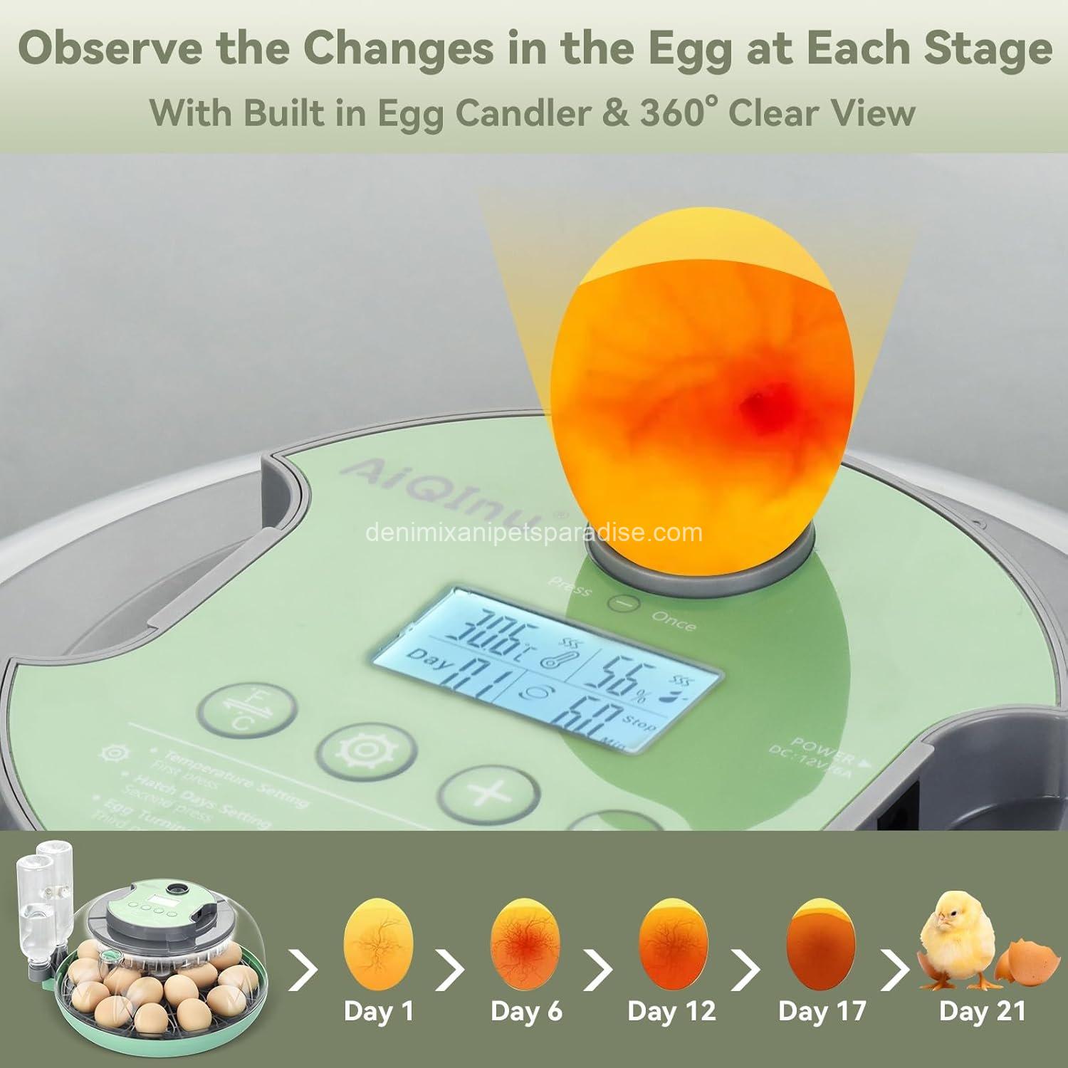18 Egg Incubator with Automatic Egg Turning and Humidity Control - 2 18 Egg Incubator with Automatic Egg Turning and Humidity Control - - Image 2