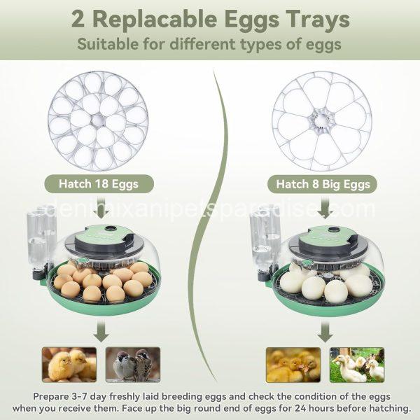 18 Egg Incubator with Automatic Egg Turning and Humidity Control - - Image 3