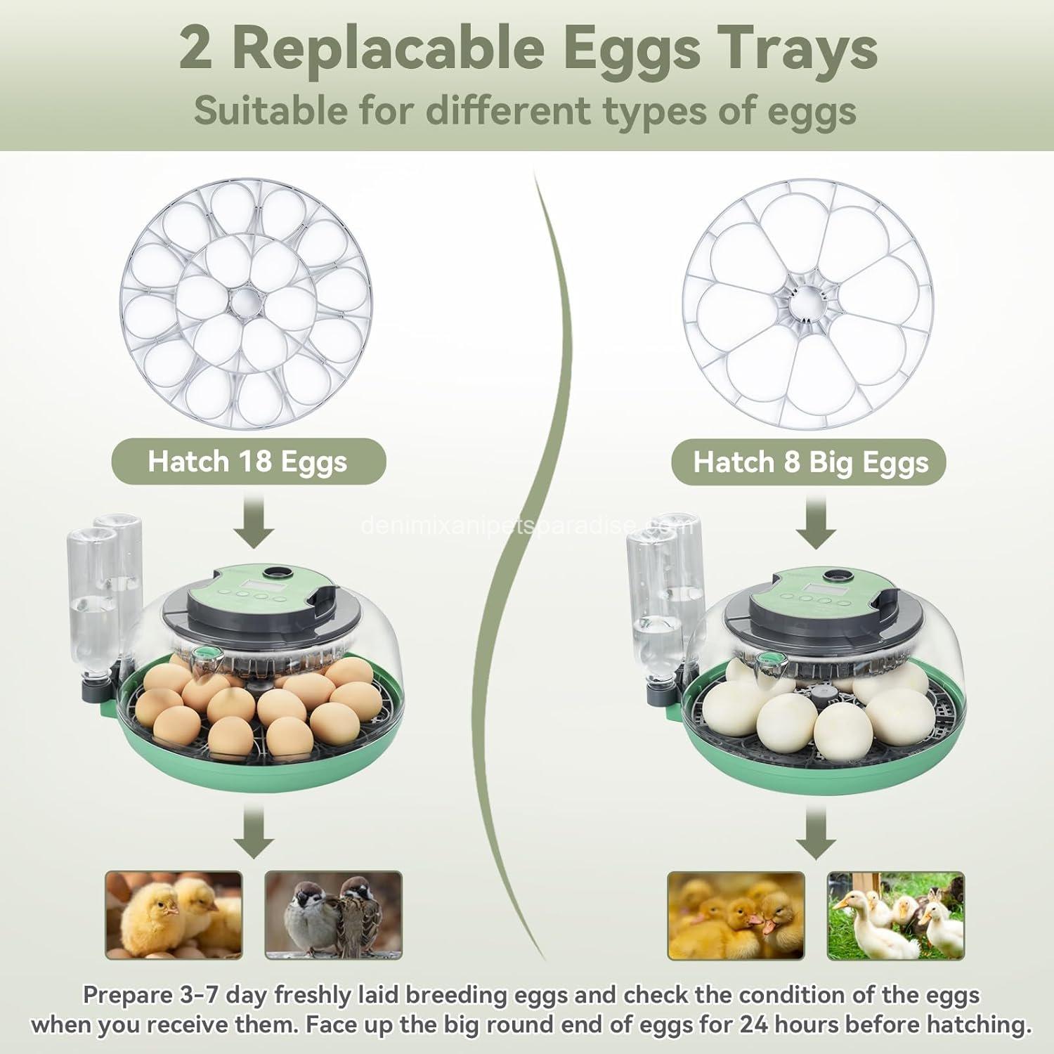 18 Egg Incubator with Automatic Egg Turning and Humidity Control - 3 18 Egg Incubator with Automatic Egg Turning and Humidity Control - - Image 3