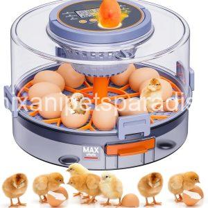 12 Egg Incubator with Automatic Egg Turning and Humidity Control, Egg Candler, 360° Viewing