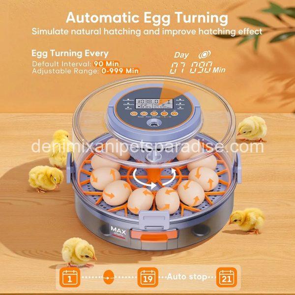 12 Egg Incubator with Automatic Egg Turning and Humidity Control, Egg Candler, 360° Viewing - Image 4