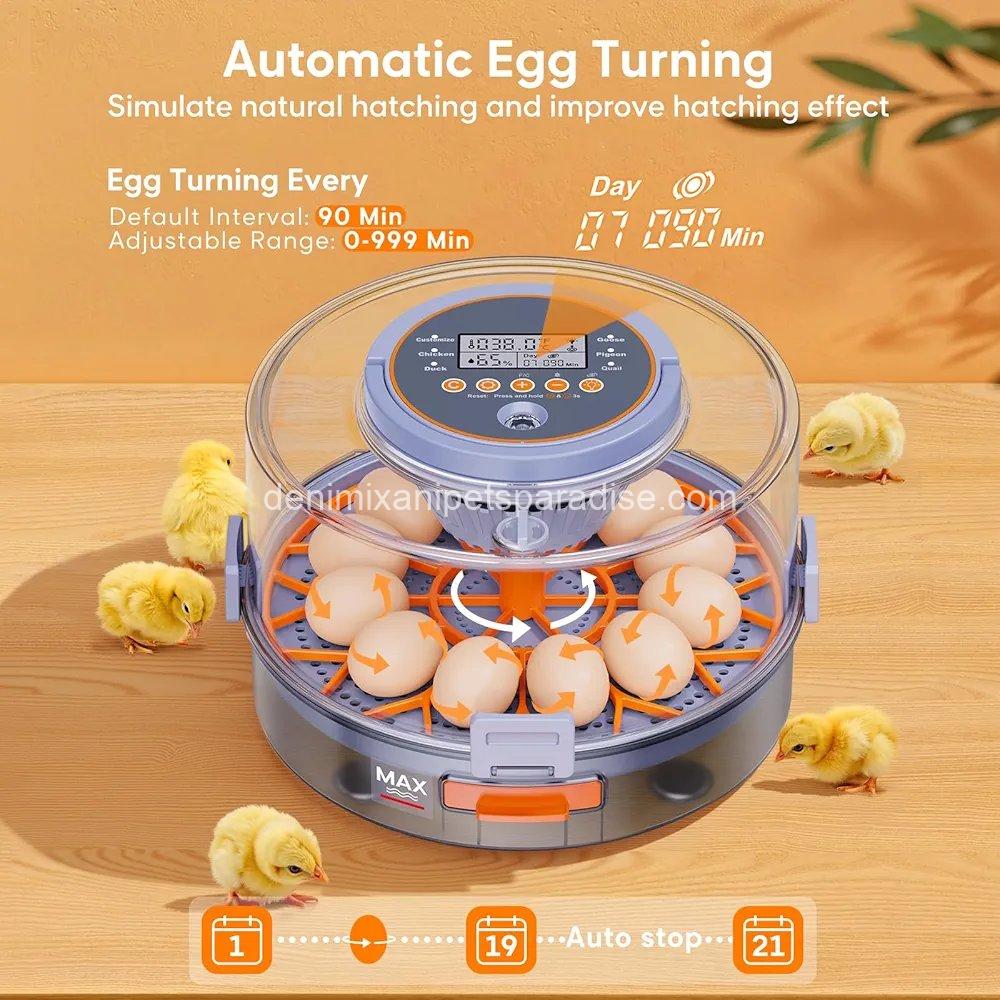 12 Egg Incubator with Automatic Egg Turning and Humidity Control, Egg Candler, 360° Viewing 4 12 Egg Incubator with Automatic Egg Turning and Humidity Control, Egg Candler, 360° Viewing - Image 4