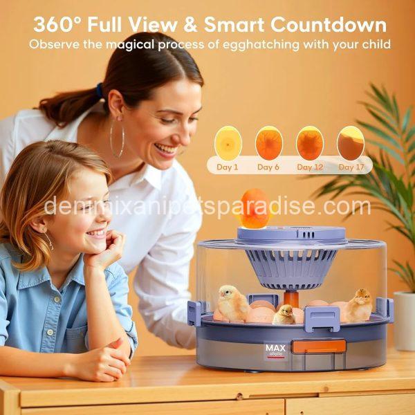 12 Egg Incubator with Automatic Egg Turning and Humidity Control, Egg Candler, 360° Viewing - Image 3