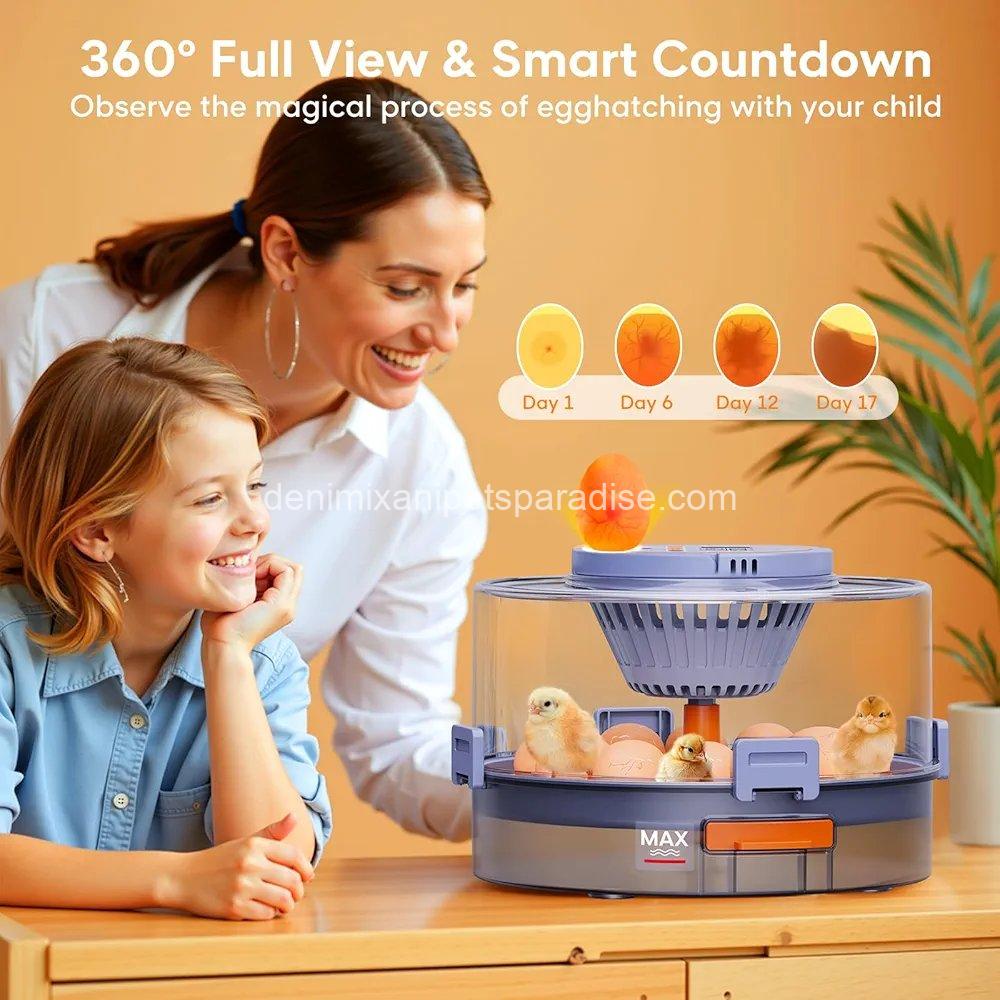 12 Egg Incubator with Automatic Egg Turning and Humidity Control, Egg Candler, 360° Viewing 3 12 Egg Incubator with Automatic Egg Turning and Humidity Control, Egg Candler, 360° Viewing - Image 3