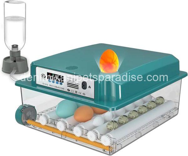 Incubators for Hatching Eggs, 12-16 Eggs Incubator with Automatic Egg Turning and Automatic Humidification, - Image 2
