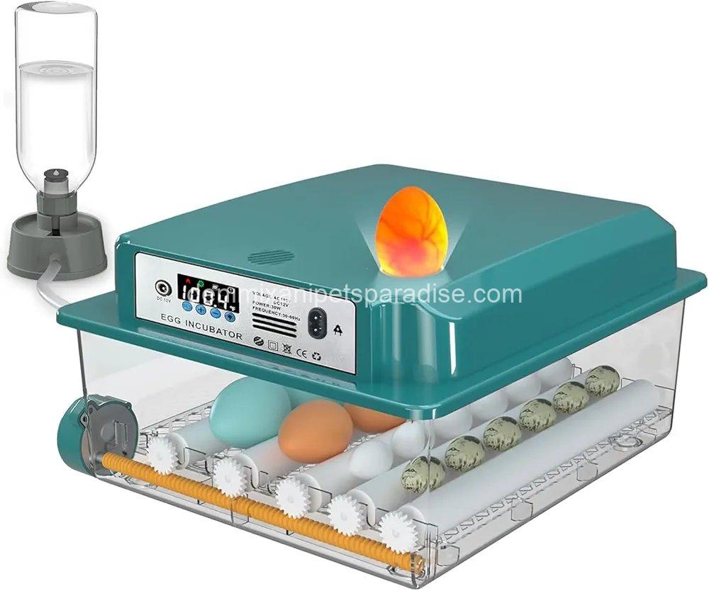 Incubators for Hatching Eggs, 12-16 Eggs Incubator with Automatic Egg Turning and Automatic Humidification, 2 Incubators for Hatching Eggs, 12-16 Eggs Incubator with Automatic Egg Turning and Automatic Humidification, - Image 2