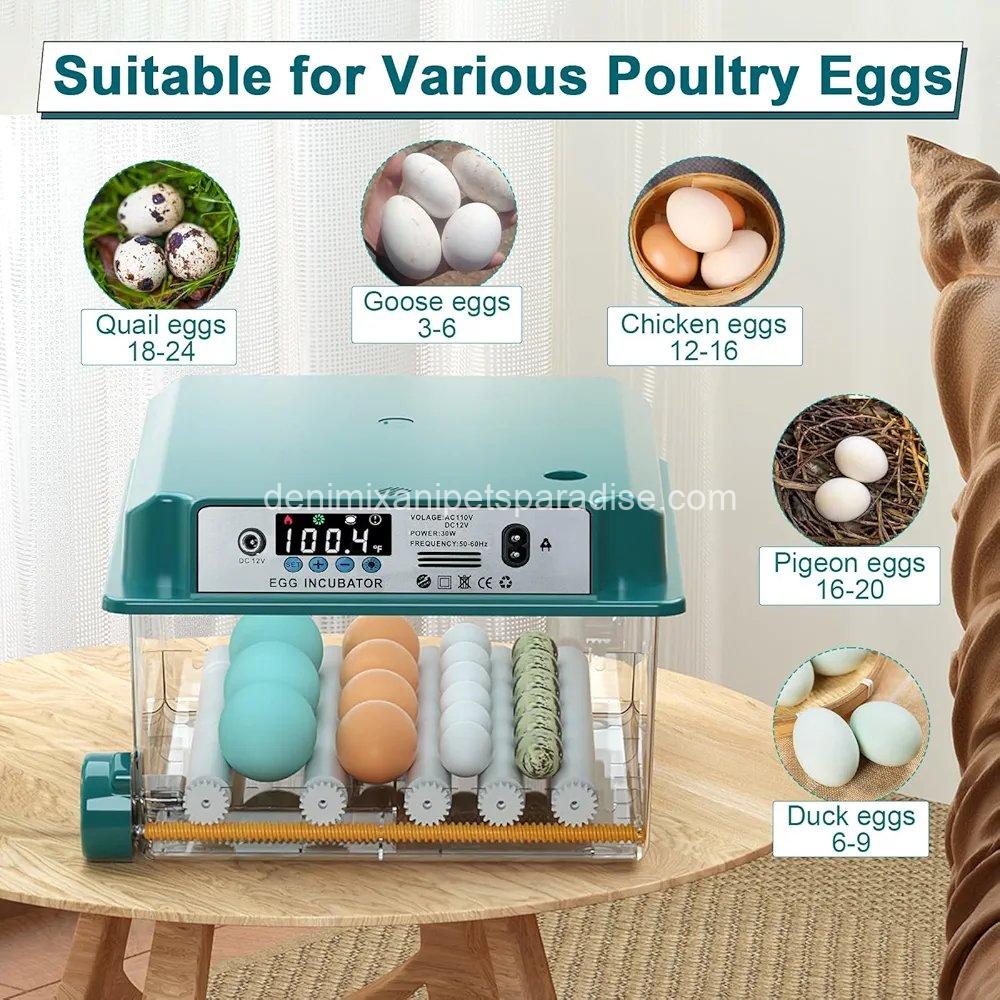 ncubators for Hatching Eggs, 12-16 Eggs Incubator with Automatic Egg Turning and Automatic Humidification,  2 ncubators for Hatching Eggs, 12-16 Eggs Incubator with Automatic Egg Turning and Automatic Humidification,  - Image 2