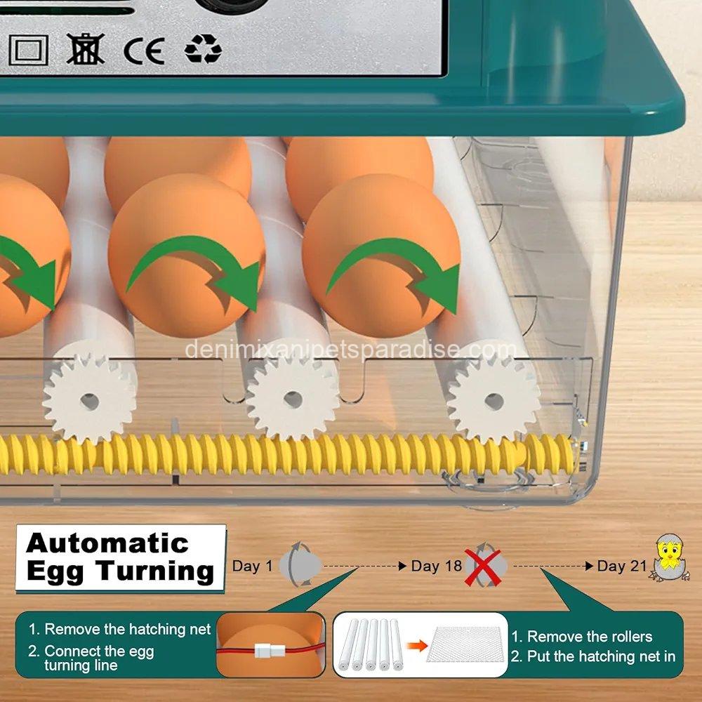 Incubators for Hatching Eggs, 12-16 Eggs Incubator with Automatic Egg Turning and Automatic Humidification, 3 Incubators for Hatching Eggs, 12-16 Eggs Incubator with Automatic Egg Turning and Automatic Humidification, - Image 3