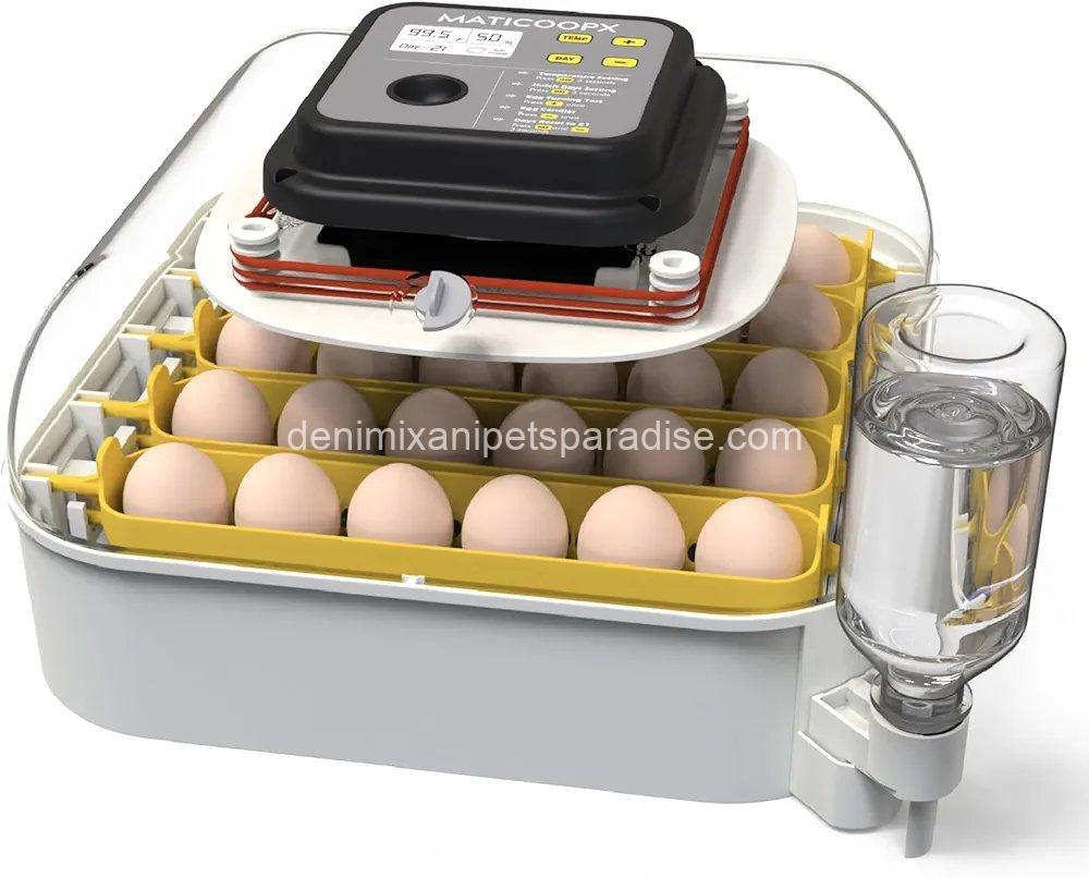 MATICOOPX 30 Egg Incubator with Humidity Display, Egg Candler, Automatic Egg Turner, for Hatching Chickens 1 MATICOOPX 30 Egg Incubator with Humidity Display, Egg Candler, Automatic Egg Turner, for Hatching Chickens