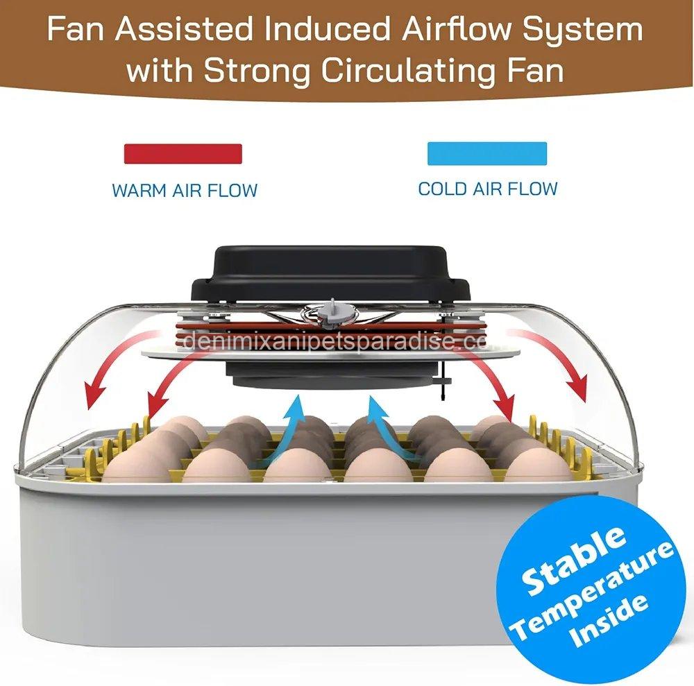MATICOOPX 30 Egg Incubator with Humidity Display, Egg Candler, Automatic Egg Turner, for Hatching Chickens 5 MATICOOPX 30 Egg Incubator with Humidity Display, Egg Candler, Automatic Egg Turner, for Hatching Chickens - Image 5