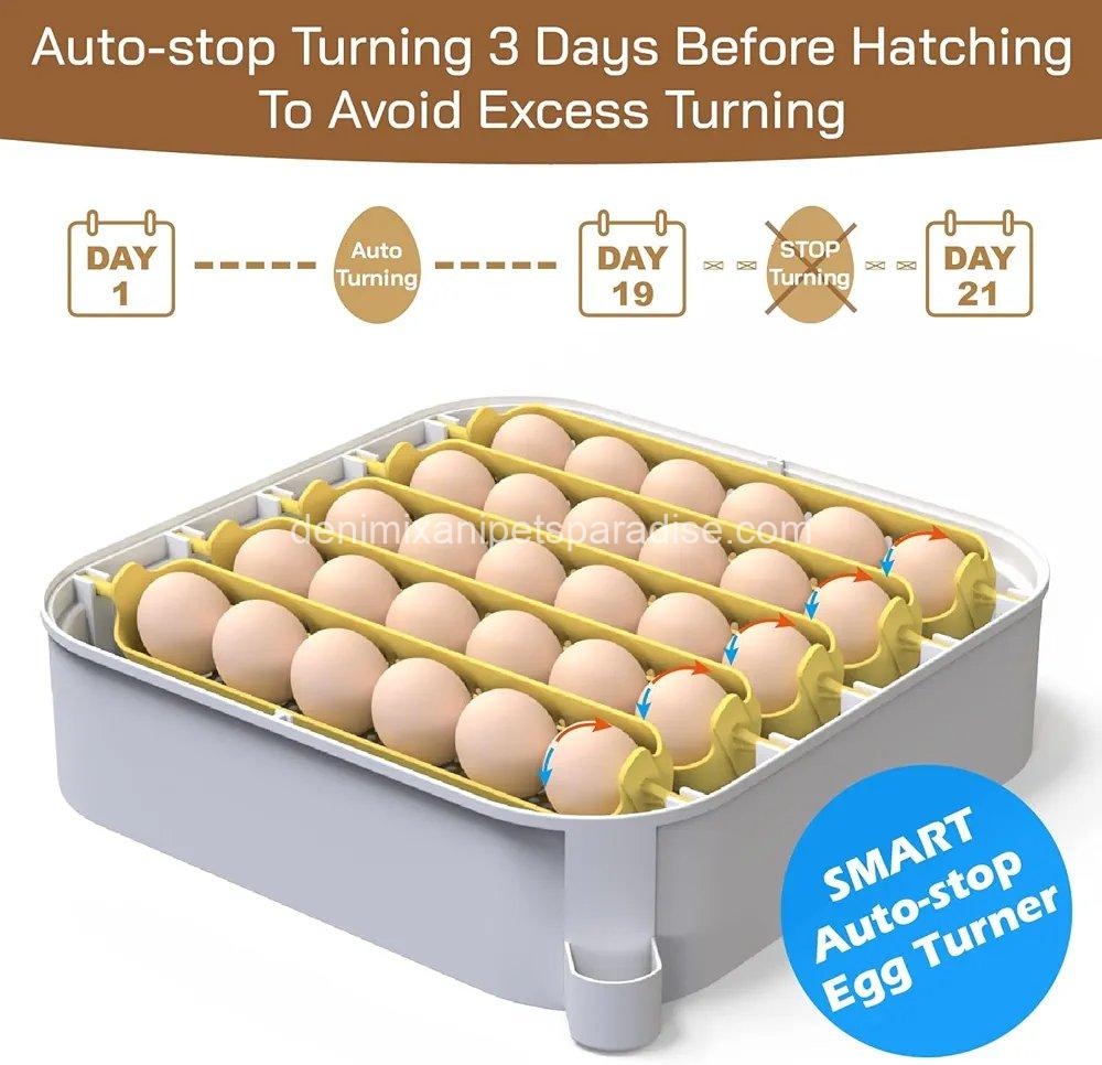 MATICOOPX 30 Egg Incubator with Humidity Display, Egg Candler, Automatic Egg Turner, for Hatching Chickens 2 MATICOOPX 30 Egg Incubator with Humidity Display, Egg Candler, Automatic Egg Turner, for Hatching Chickens - Image 2