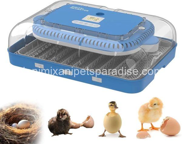 70 Egg Incubator with Automatic Turning & Humidity Control, Digital Poultry Hatcher for Chicken - Image 5