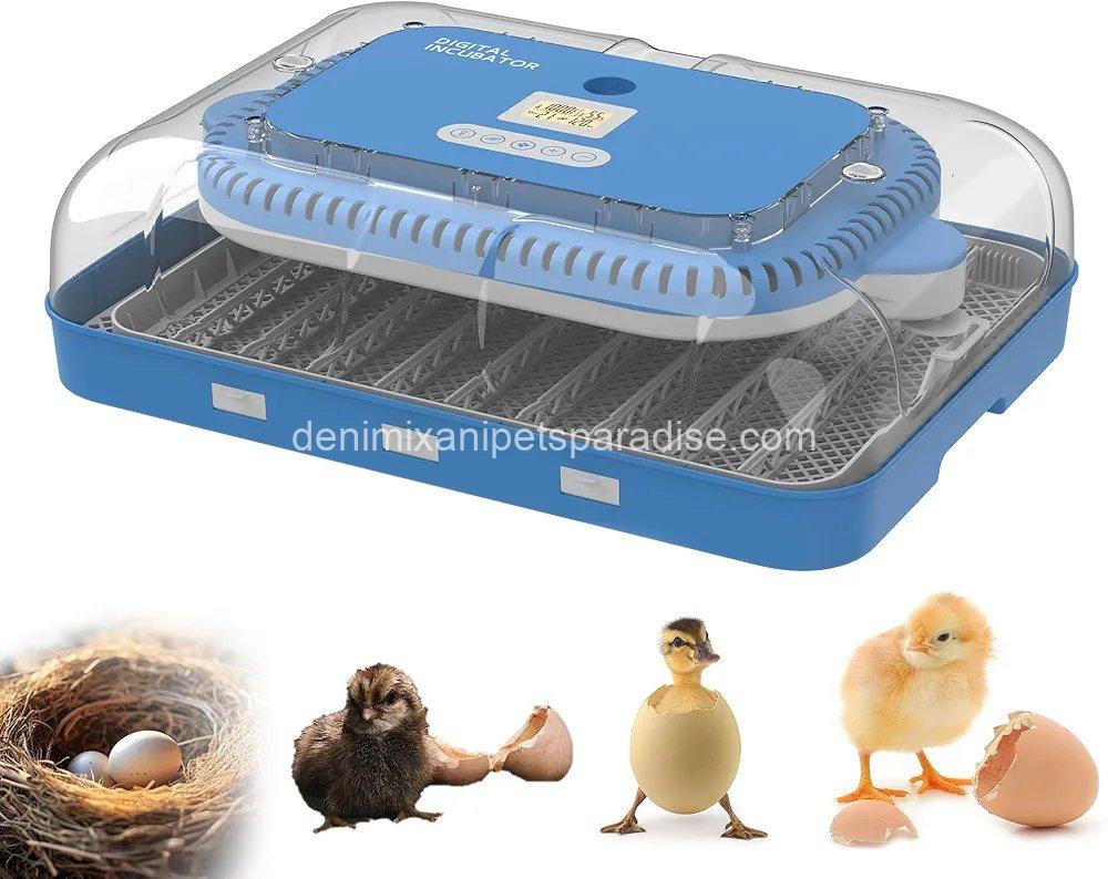 70 Egg Incubator with Automatic Turning & Humidity Control, Digital Poultry Hatcher for Chicken 5 70 Egg Incubator with Automatic Turning & Humidity Control, Digital Poultry Hatcher for Chicken - Image 5