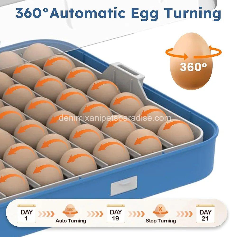 70 Egg Incubator with Automatic Turning & Humidity Control, Digital Poultry Hatcher for Chicken 2 70 Egg Incubator with Automatic Turning & Humidity Control, Digital Poultry Hatcher for Chicken - Image 2
