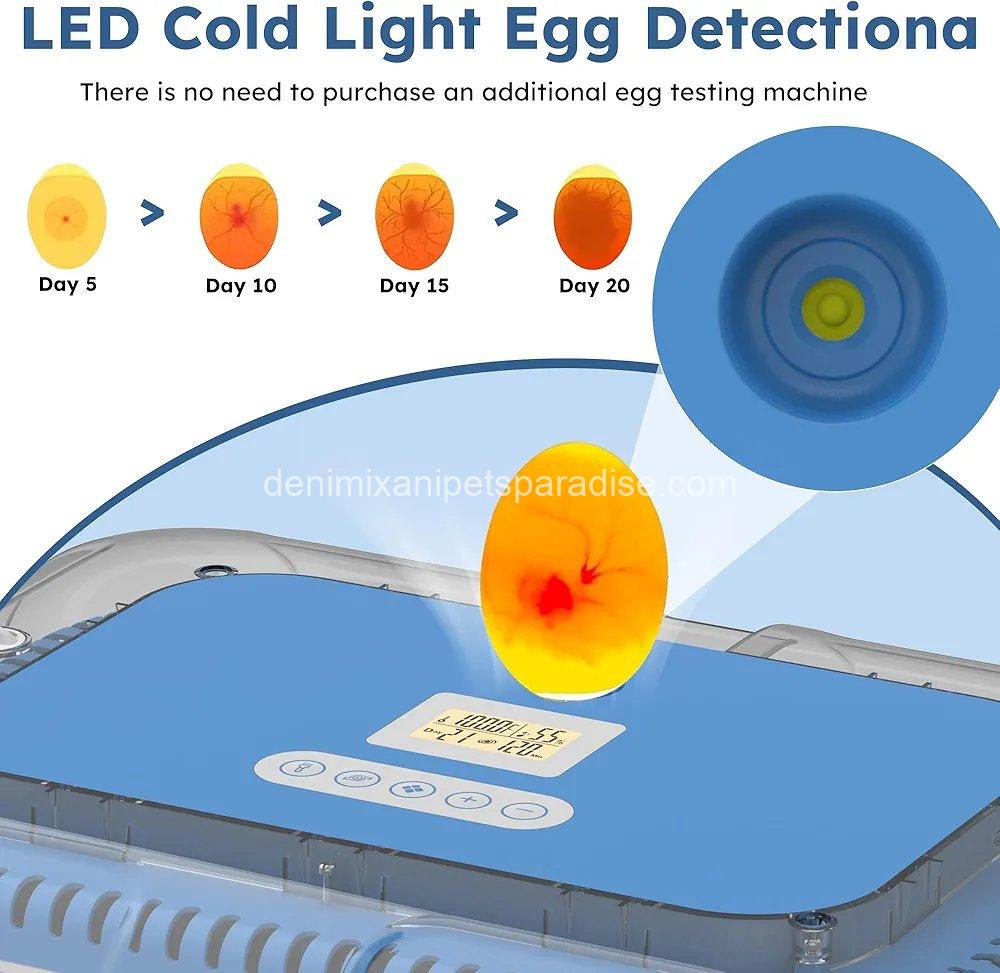 70 Egg Incubator with Automatic Turning & Humidity Control, Digital Poultry Hatcher for Chicken 3 70 Egg Incubator with Automatic Turning & Humidity Control, Digital Poultry Hatcher for Chicken - Image 3