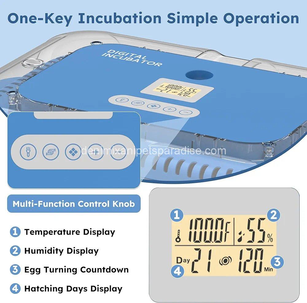 70 Egg Incubator with Automatic Turning & Humidity Control, Digital Poultry Hatcher for Chicken 6 70 Egg Incubator with Automatic Turning & Humidity Control, Digital Poultry Hatcher for Chicken - Image 6