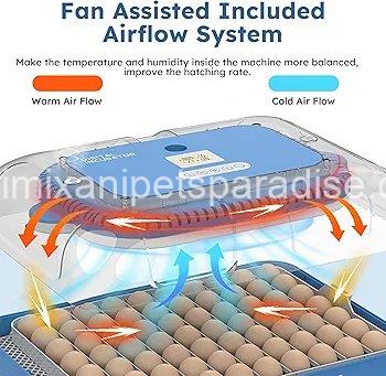 70 Egg Incubator with Automatic Turning & Humidity Control, Digital Poultry Hatcher for Chicken 1 70 Egg Incubator with Automatic Turning & Humidity Control, Digital Poultry Hatcher for Chicken