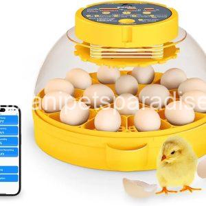 16 Egg incubator with automatic egg turning and humidity control