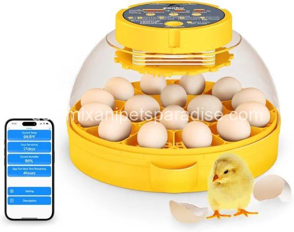 16 Egg incubator with automatic egg turning and humidity control