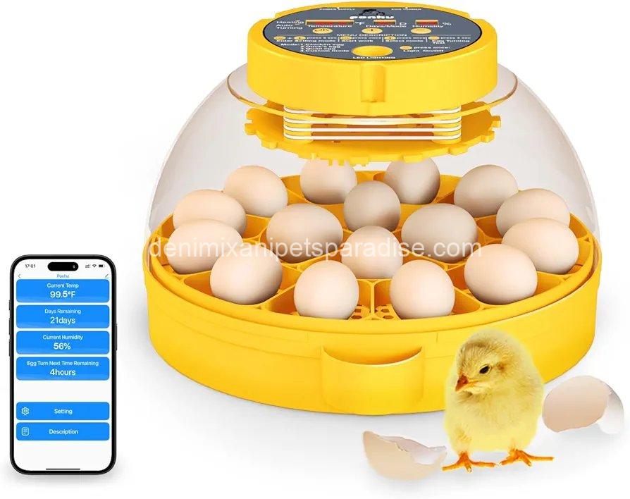 16 Egg incubator with automatic egg turning and humidity control 1 16 Egg incubator with automatic egg turning and humidity control