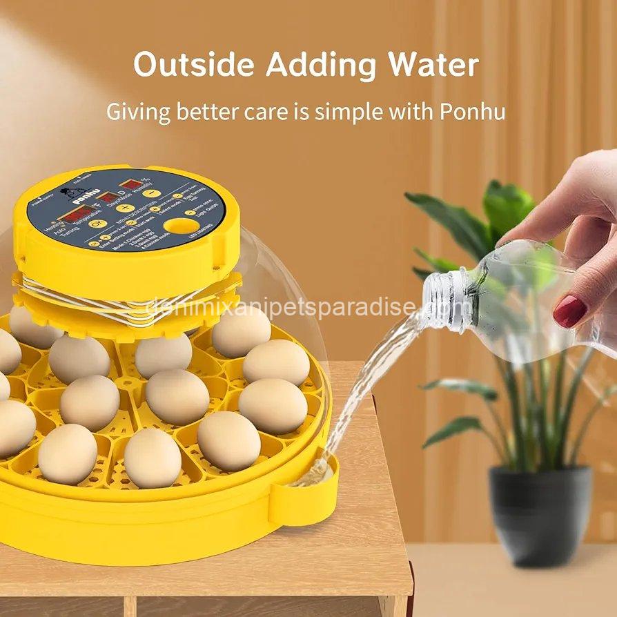 16 Egg incubator with automatic egg turning and humidity control 2 16 Egg incubator with automatic egg turning and humidity control - Image 2