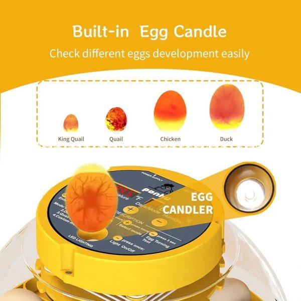 16 Egg incubator with automatic egg turning and humidity control - Image 5