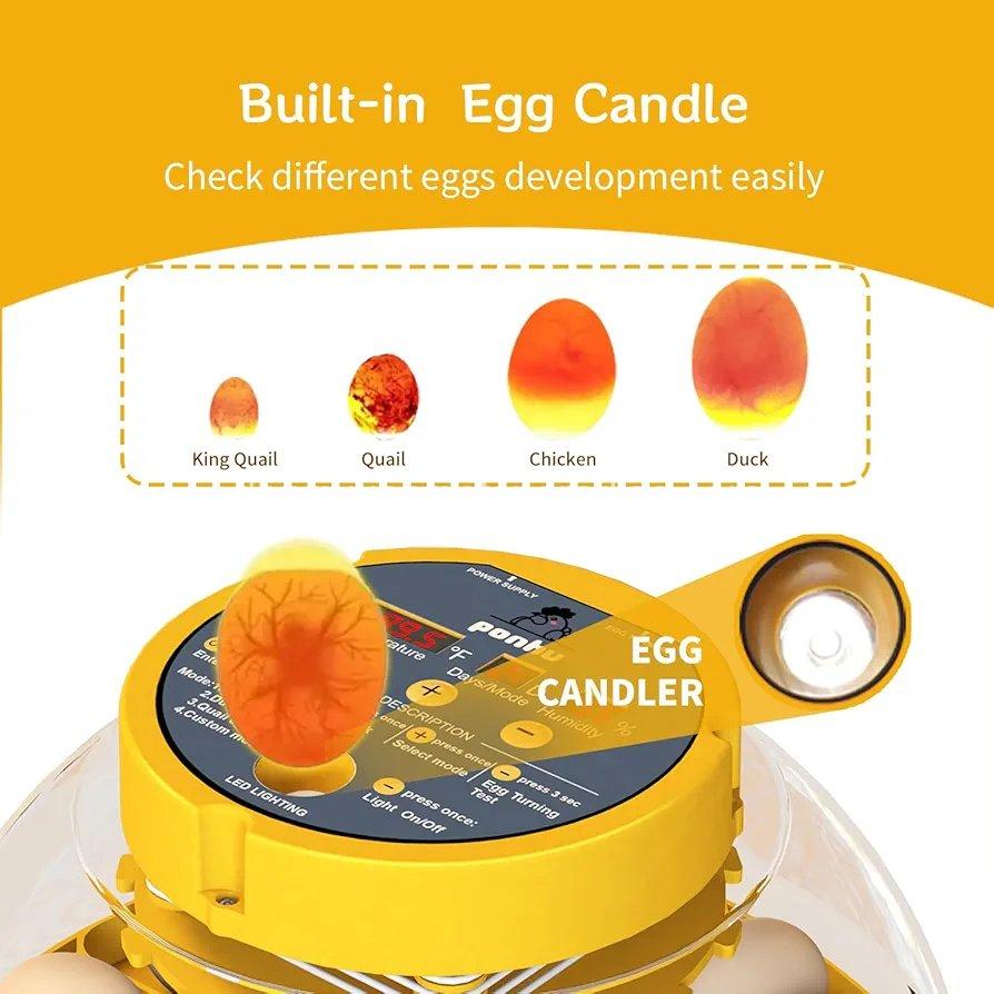 16 Egg incubator with automatic egg turning and humidity control 5 16 Egg incubator with automatic egg turning and humidity control - Image 5