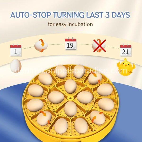 16 Egg incubator with automatic egg turning and humidity control - Image 4
