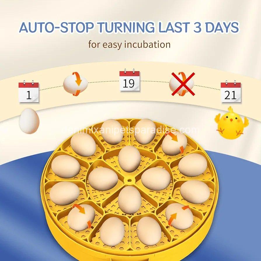 16 Egg incubator with automatic egg turning and humidity control 4 16 Egg incubator with automatic egg turning and humidity control - Image 4