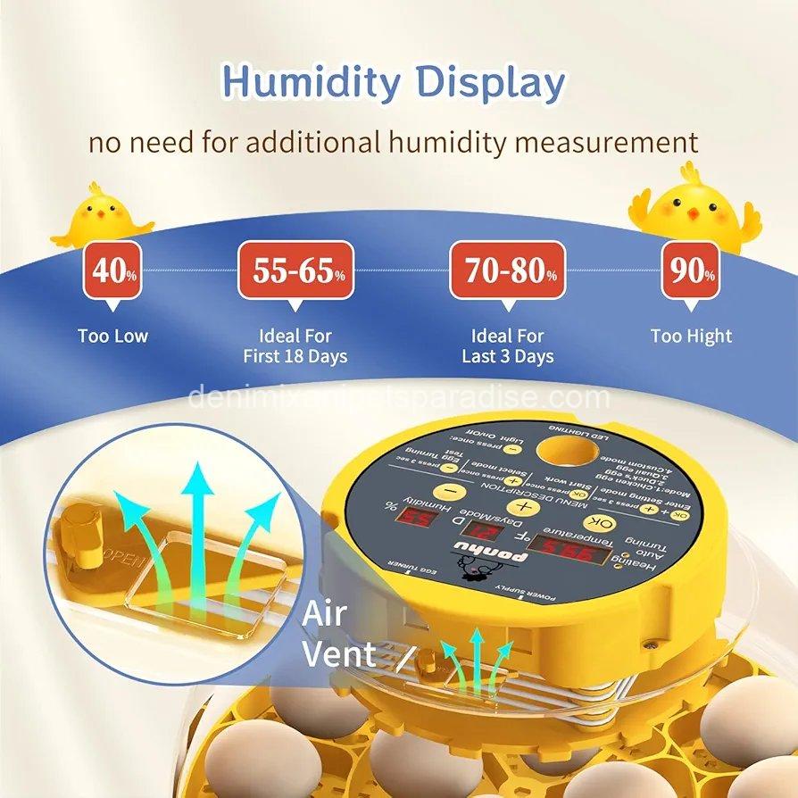 16 Egg incubator with automatic egg turning and humidity control 3 16 Egg incubator with automatic egg turning and humidity control - Image 3