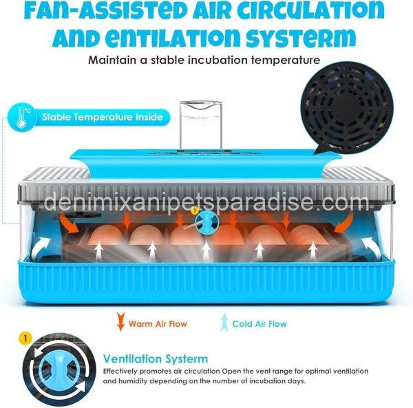 25 Egg Incubator Digital Poultry Hatcher Machine with Automatic Egg Turning, - Image 6